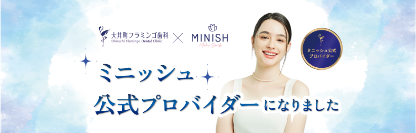 minish-provider