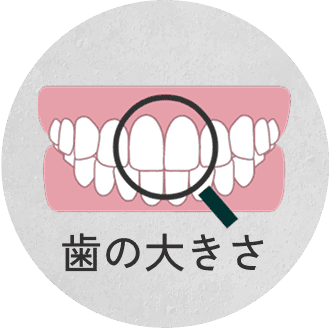 歯の大きさ